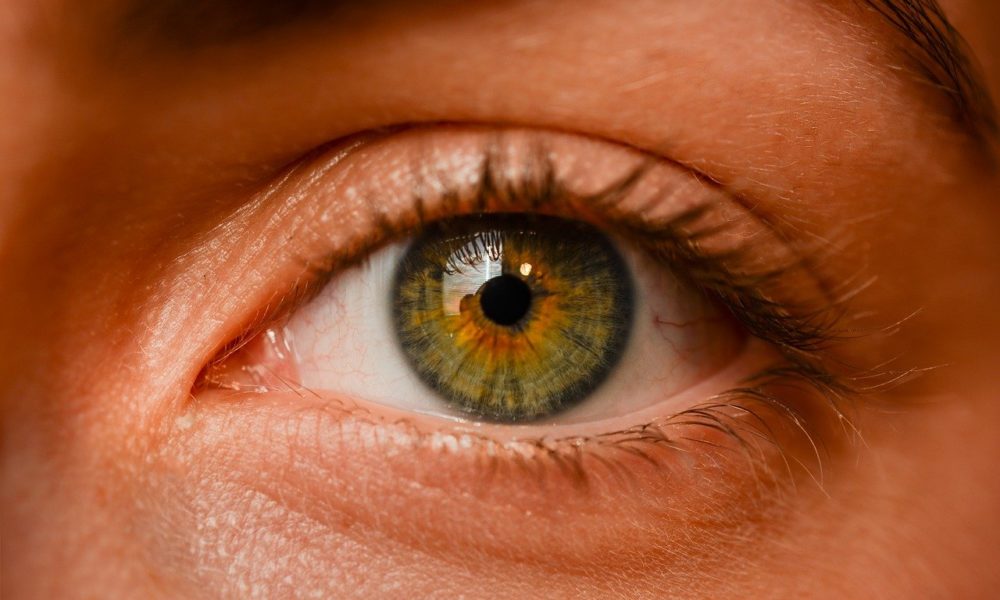 Oczy to szczególny organ. To dokładnie dzięki nim doświadczamy.